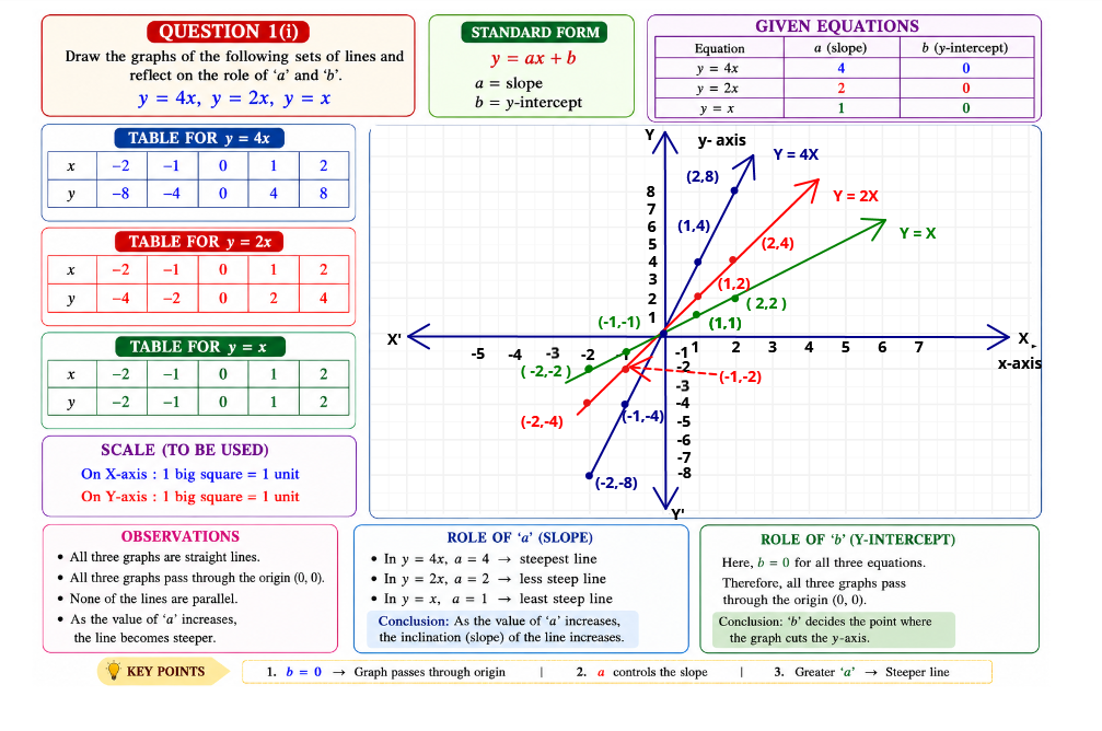 Graphs of y = 4x, y = 2x and y = x