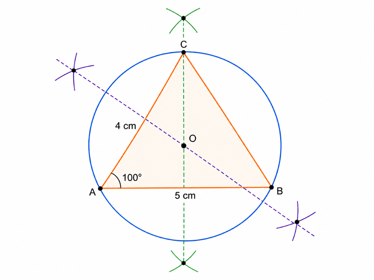 Class 9 Maths Chapter 5 Exercise 5.1 Question 2 triangle ABC with 100 degree angle, circumcircle and circumcentre